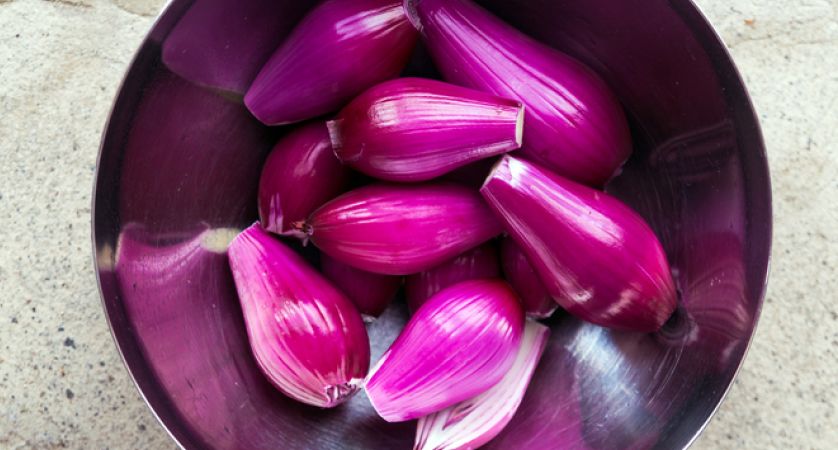 shutterstock_711279157 (1)